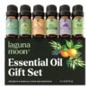 Essential Oils Set – Top 6 Organic Blends for Diffusers, Home Care, Candle Making, Fragrance, Aromatherapy, Humidifiers, Gifts – Peppermint, Tea Tree, Lavender, Eucalyptus, Lemongrass, Orange (10mL)
